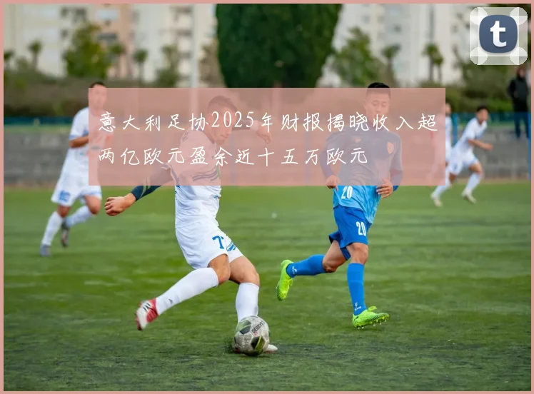 意大利足协2025年财报揭晓收入超两亿欧元盈余近十五万欧元