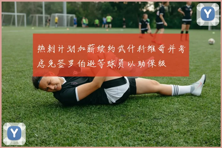 热刺计划加薪续约武什科维奇并考虑免签罗伯逊等球员以助保级